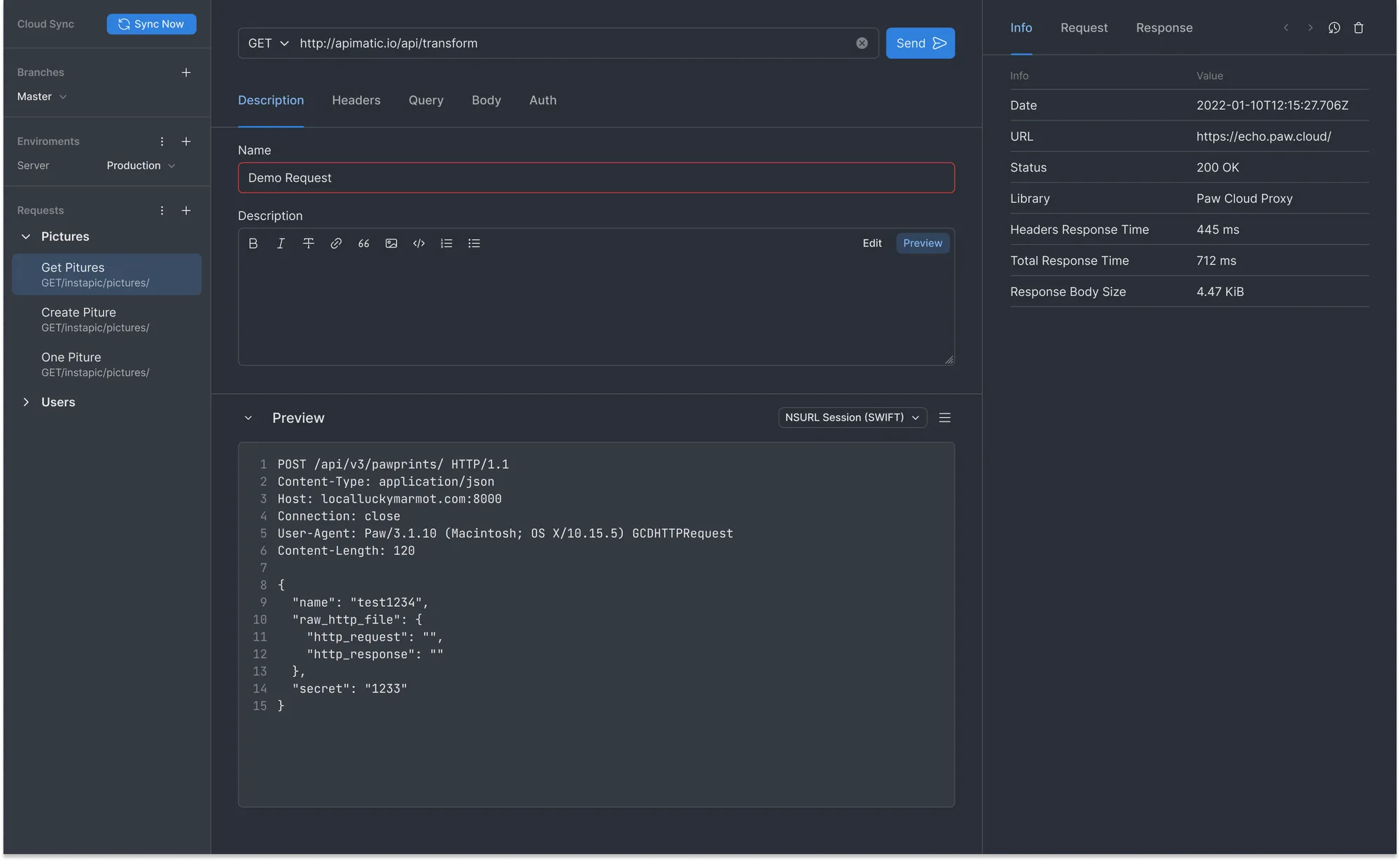Rapid API client — request builder with response preview